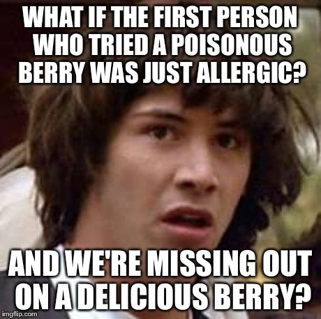 Conspiracy Keanu Meme | WHAT IF THE FIRST PERSON WHO TRIED A POISONOUS BERRY WAS JUST ALLERGIC? AND WE'RE MISSING OUT ON A DELICIOUS BERRY? | image tagged in memes,conspiracy keanu | made w/ Imgflip meme maker