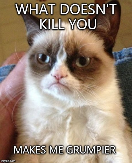 Grumpy Cat Meme | WHAT DOESN'T KILL YOU MAKES ME GRUMPIER | image tagged in memes,grumpy cat | made w/ Imgflip meme maker