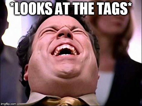 laugh | *LOOKS AT THE TAGS* | image tagged in laugh | made w/ Imgflip meme maker