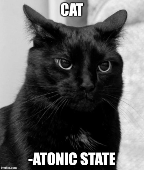 pissed cat | CAT -ATONIC STATE | image tagged in pissed cat | made w/ Imgflip meme maker