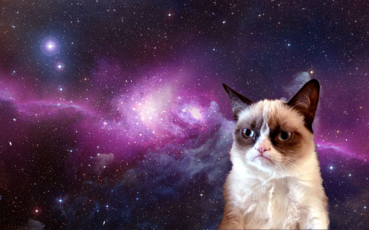 grumpy cat meme generator