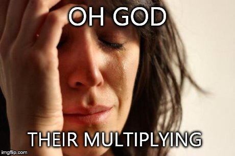 First World Problems Meme | OH GOD THEIR MULTIPLYING | image tagged in memes,first world problems | made w/ Imgflip meme maker