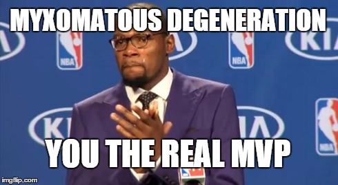 You The Real MVP Meme | MYXOMATOUS DEGENERATION YOU THE REAL MVP | image tagged in memes,you the real mvp,medicalschool | made w/ Imgflip meme maker