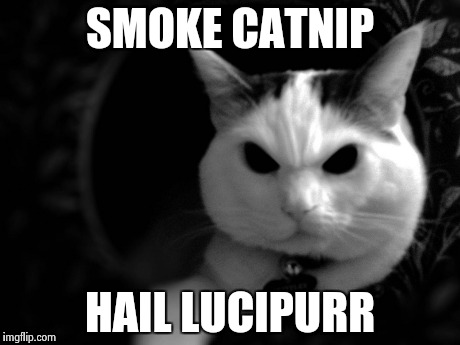 Evil cat | SMOKE CATNIP HAIL LUCIPURR | image tagged in evil cat | made w/ Imgflip meme maker