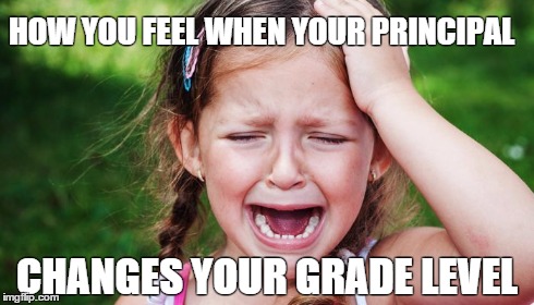 HOW YOU FEEL WHEN YOUR PRINCIPAL CHANGES YOUR GRADE LEVEL | image tagged in teacher | made w/ Imgflip meme maker