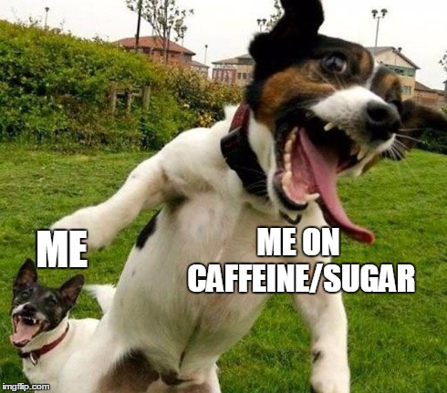 I have ADHD, so when I'm off my meds AND I get sugarhigh... yeah. | ME ME ON CAFFEINE/SUGAR | image tagged in angry dogs,memes,sugar | made w/ Imgflip meme maker