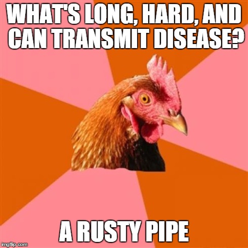 Anti Joke Chicken | WHAT'S LONG, HARD, AND CAN TRANSMIT DISEASE? A RUSTY PIPE | image tagged in memes,anti joke chicken | made w/ Imgflip meme maker