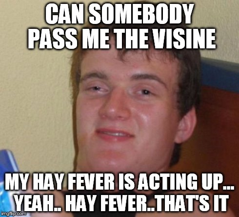 10 Guy Meme | CAN SOMEBODY PASS ME THE VISINE MY HAY FEVER IS ACTING UP... YEAH.. HAY FEVER..THAT'S IT | image tagged in memes,10 guy | made w/ Imgflip meme maker