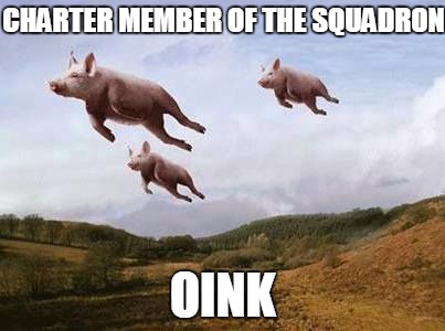 Charter member of the male chauvenist pig squadron | CHARTER MEMBER OF THE SQUADRON OINK | image tagged in pigs fly,funny | made w/ Imgflip meme maker