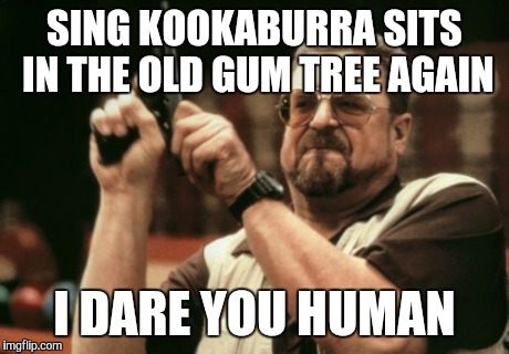 Am I The Only One Around Here Meme | SING KOOKABURRA SITS IN THE OLD GUM TREE AGAIN I DARE YOU HUMAN | image tagged in memes,am i the only one around here | made w/ Imgflip meme maker