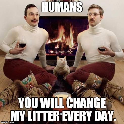 two men and a cat | HUMANS YOU WILL CHANGE MY LITTER EVERY DAY. | image tagged in two men and a cat | made w/ Imgflip meme maker