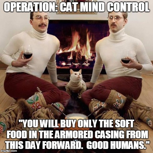 two men and a cat | OPERATION: CAT MIND CONTROL "YOU WILL BUY ONLY THE SOFT FOOD IN THE ARMORED CASING FROM THIS DAY FORWARD.  GOOD HUMANS." | image tagged in two men and a cat | made w/ Imgflip meme maker