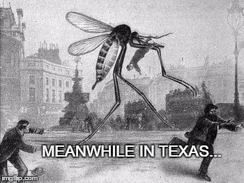Mosquito Attack | MEANWHILE IN TEXAS... | image tagged in mosquito attack | made w/ Imgflip meme maker