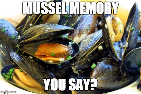 MUSSEL MEMORY YOU SAY? | made w/ Imgflip meme maker