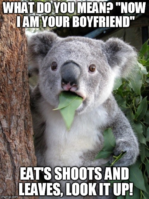 Surprised Koala Meme | WHAT DO YOU MEAN? "NOW I AM YOUR BOYFRIEND" EAT'S SHOOTS AND LEAVES, LOOK IT UP! | image tagged in memes,surprised coala | made w/ Imgflip meme maker