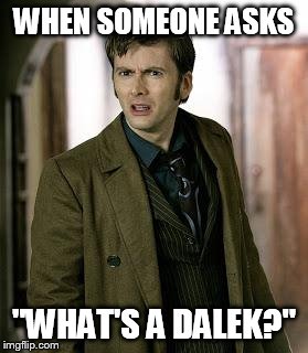 doctor who is confused | WHEN SOMEONE ASKS "WHAT'S A DALEK?" | image tagged in doctor who is confused | made w/ Imgflip meme maker