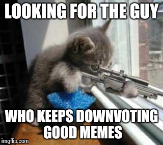 CatSniper | LOOKING FOR THE GUY WHO KEEPS DOWNVOTING GOOD MEMES | image tagged in catsniper | made w/ Imgflip meme maker