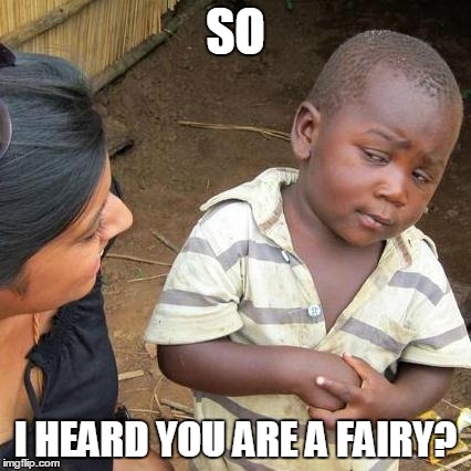 Third World Skeptical Kid Meme | SO I HEARD YOU ARE A FAIRY? | image tagged in memes,third world skeptical kid | made w/ Imgflip meme maker