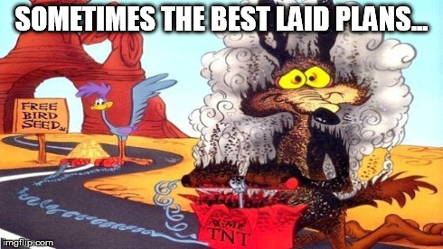 wile e coyote | SOMETIMES THE BEST LAID PLANS... | image tagged in wile e coyote | made w/ Imgflip meme maker