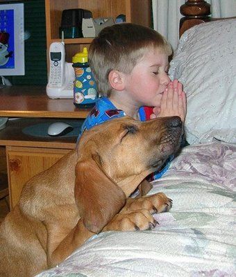 boy and dog praying Blank Meme Template