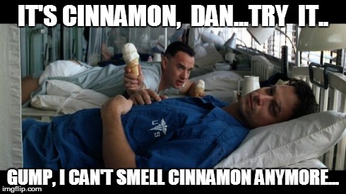 pumpkin spice ice cream lt dan | IT'S CINNAMON,  DAN...TRY  IT.. GUMP, I CAN'T SMELL CINNAMON ANYMORE... | image tagged in pumpkin spice ice cream lt dan | made w/ Imgflip meme maker