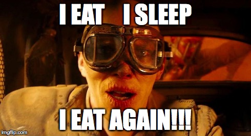 Procrastination / General laziness: | I EAT    I SLEEP I EAT AGAIN!!! | image tagged in mad max,mad max thumbs up | made w/ Imgflip meme maker