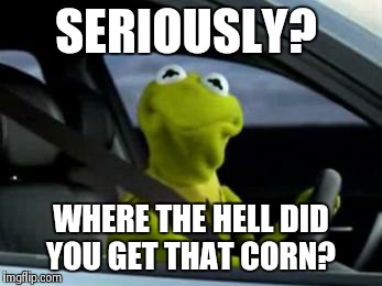 sad kermit | SERIOUSLY? WHERE THE HELL DID YOU GET THAT CORN? | image tagged in sad kermit | made w/ Imgflip meme maker