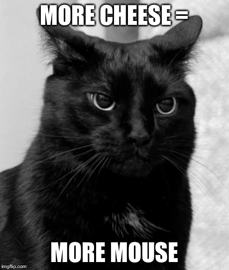 pissed cat | MORE CHEESE = MORE MOUSE | image tagged in pissed cat | made w/ Imgflip meme maker
