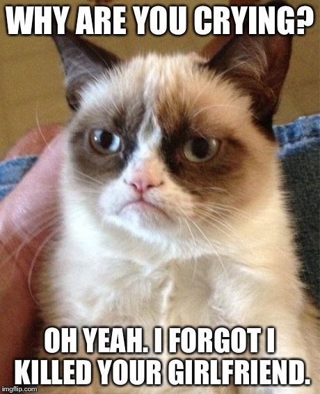 Grumpy Cat Meme | WHY ARE YOU CRYING? OH YEAH. I FORGOT I KILLED YOUR GIRLFRIEND. | image tagged in memes,grumpy cat | made w/ Imgflip meme maker