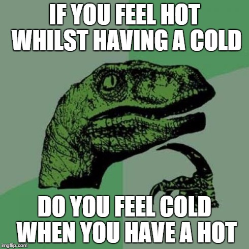 Philosoraptor | IF YOU FEEL HOT WHILST HAVING A COLD DO YOU FEEL COLD WHEN YOU HAVE A HOT | image tagged in memes,philosoraptor | made w/ Imgflip meme maker