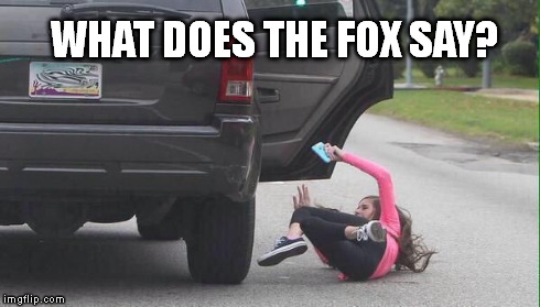 Fall Girl | WHAT DOES THE FOX SAY? | image tagged in fall girl,what does the fox say,fox,get out,jeep | made w/ Imgflip meme maker