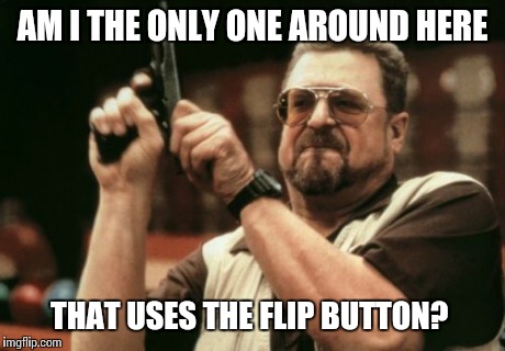 imgFLIP. Lots of good memes in there.  | AM I THE ONLY ONE AROUND HERE THAT USES THE FLIP BUTTON? | image tagged in memes,am i the only one around here | made w/ Imgflip meme maker