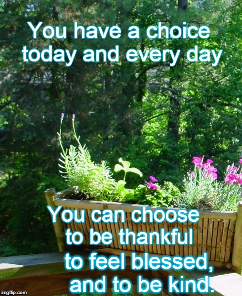 You have  a choice | You have a choice today and every day to feel blessed, and to be kind. You can choose to be thankful | image tagged in inspiration,happiness,kindness | made w/ Imgflip meme maker