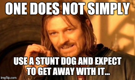 One Does Not Simply Meme | ONE DOES NOT SIMPLY USE A STUNT DOG AND EXPECT TO GET AWAY WITH IT... | image tagged in memes,one does not simply | made w/ Imgflip meme maker