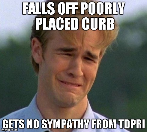 1990s First World Problems Meme | FALLS OFF POORLY PLACED CURB GETS NO SYMPATHY FROM TDPRI | image tagged in memes,1990s first world problems | made w/ Imgflip meme maker