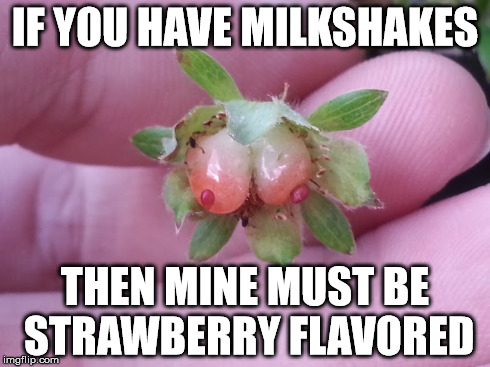 My strawberry plant with boobs!!!  | IF YOU HAVE MILKSHAKES THEN MINE MUST BE STRAWBERRY FLAVORED | image tagged in boobs,strawberries,strawberry,milkshakes,boys to the yard,memes | made w/ Imgflip meme maker
