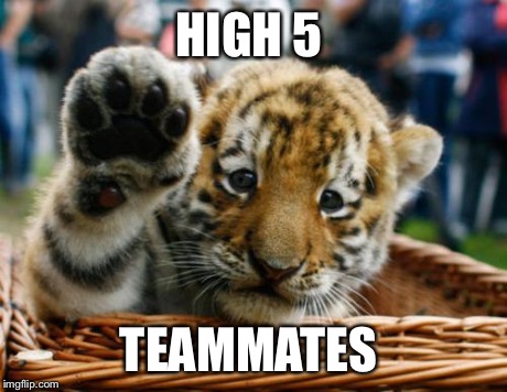 Tiger 5 | HIGH 5 TEAMMATES | image tagged in tiger 5 | made w/ Imgflip meme maker