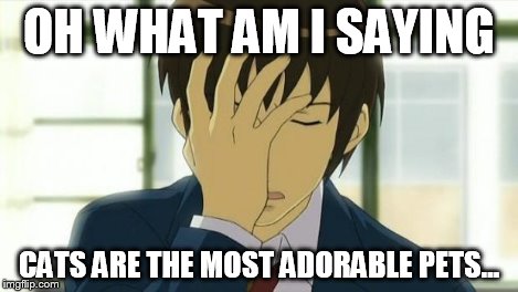 Kyon Facepalm Ver 2 | OH WHAT AM I SAYING CATS ARE THE MOST ADORABLE PETS... | image tagged in kyon facepalm ver 2 | made w/ Imgflip meme maker