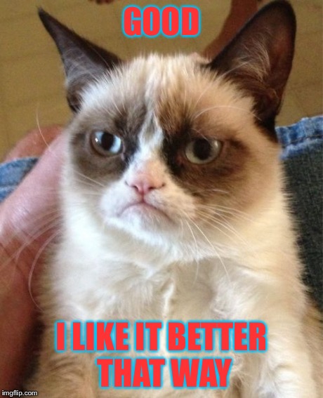 Grumpy Cat Meme | GOOD I LIKE IT BETTER THAT WAY | image tagged in memes,grumpy cat | made w/ Imgflip meme maker
