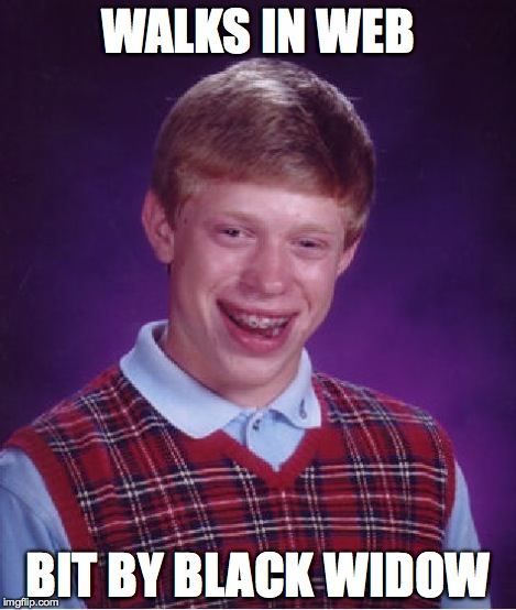 Bad Luck Brian Meme | WALKS IN WEB BIT BY BLACK WIDOW | image tagged in memes,bad luck brian | made w/ Imgflip meme maker
