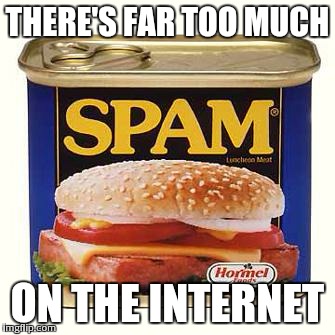 spam | THERE'S FAR TOO MUCH ON THE INTERNET | image tagged in spam | made w/ Imgflip meme maker