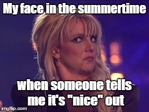 Disbelieving Britney | My face in the summertime when someone tells me it's "nice" out | image tagged in britney spears,britney,disbelief,you gotta be kidding me,summer,hot | made w/ Imgflip meme maker