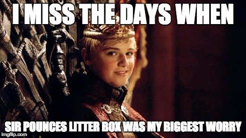 I MISS THE DAYS WHEN SIR POUNCES LITTER BOX WAS MY BIGGEST WORRY | image tagged in kingtommen,aSongOfMemesAndRage | made w/ Imgflip meme maker