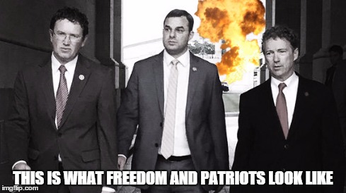 THIS IS WHAT FREEDOM AND PATRIOTS LOOK LIKE | image tagged in MURICA | made w/ Imgflip meme maker