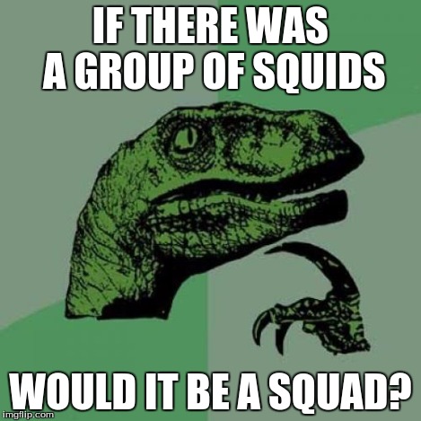Philosoraptor Meme | IF THERE WAS A GROUP OF SQUIDS WOULD IT BE A SQUAD? | image tagged in memes,philosoraptor | made w/ Imgflip meme maker