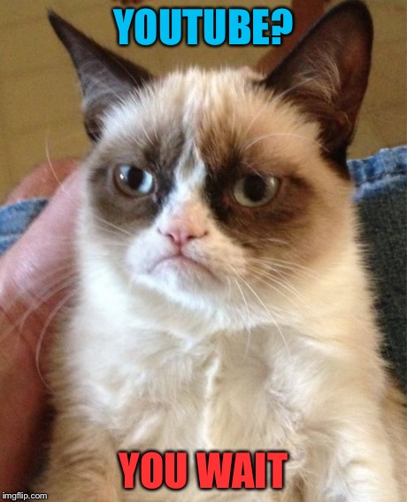 Grumpy Cat Meme | YOUTUBE? YOU WAIT | image tagged in memes,grumpy cat | made w/ Imgflip meme maker
