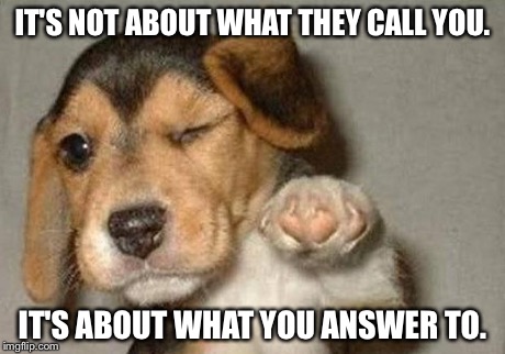 Winking Dog | IT'S NOT ABOUT WHAT THEY CALL YOU. IT'S ABOUT WHAT YOU ANSWER TO. | image tagged in winking dog | made w/ Imgflip meme maker