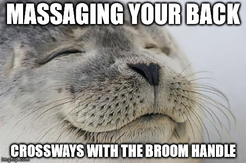 Satisfied Seal | MASSAGING YOUR BACK CROSSWAYS WITH THE BROOM HANDLE | image tagged in memes,satisfied seal | made w/ Imgflip meme maker