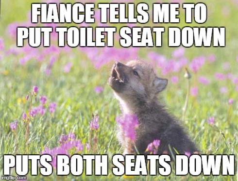 Baby Insanity Wolf Meme | FIANCE TELLS ME TO PUT TOILET SEAT DOWN PUTS BOTH SEATS DOWN | image tagged in memes,baby insanity wolf | made w/ Imgflip meme maker