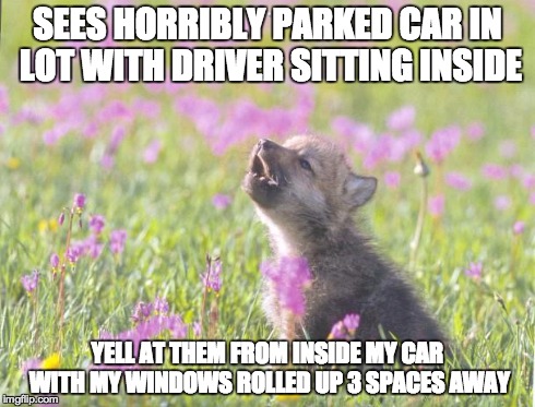 Baby Insanity Wolf | SEES HORRIBLY PARKED CAR IN LOT WITH DRIVER SITTING INSIDE YELL AT THEM FROM INSIDE MY CAR WITH MY WINDOWS ROLLED UP 3 SPACES AWAY | image tagged in memes,baby insanity wolf,AdviceAnimals | made w/ Imgflip meme maker